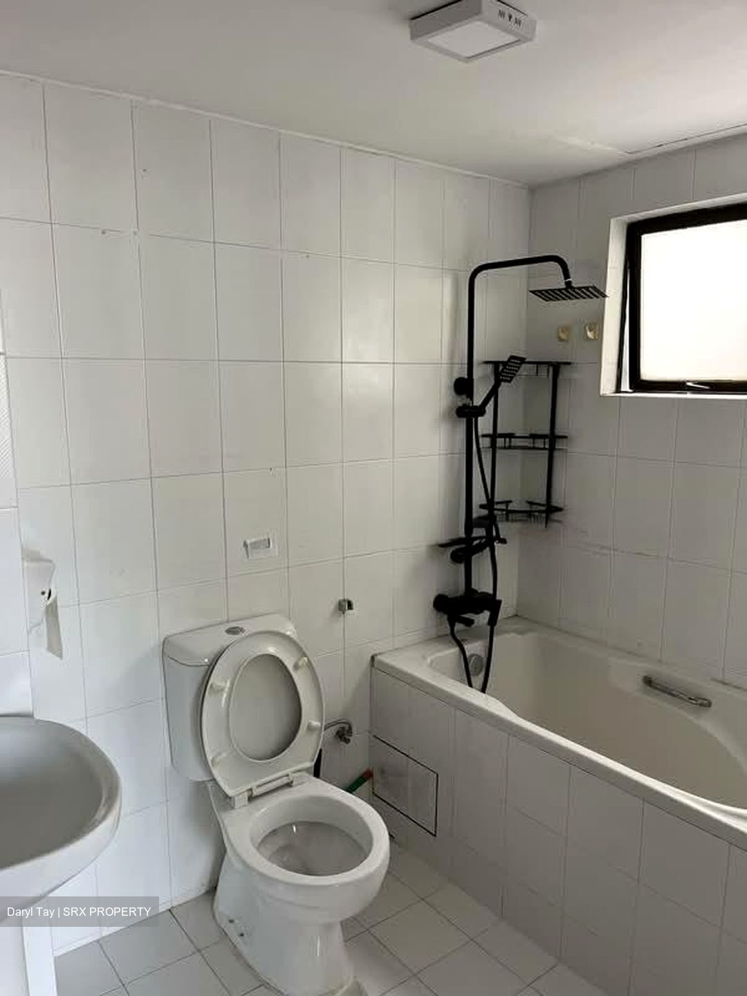 Dynasty Garden (D10), Condominium #593632051